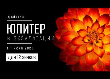 Разбор номера 5626 ЕГЭ по информатике #8