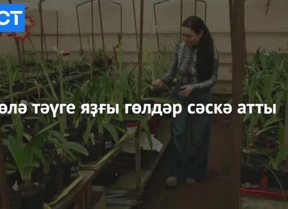 Информатика уҡытыусыларының съезы үтте